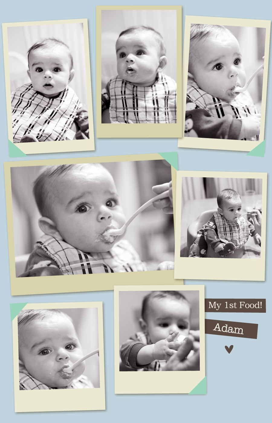 adam adam