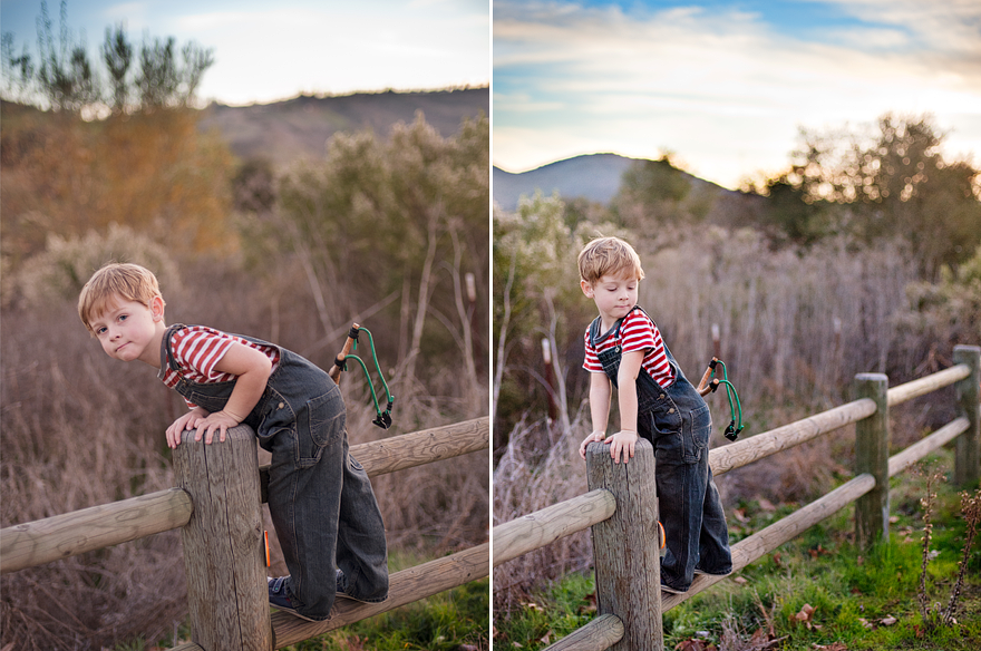 fence fence