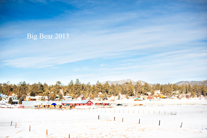 DSC_2799-Edit-Edit DSC_2799-Edit-Edit