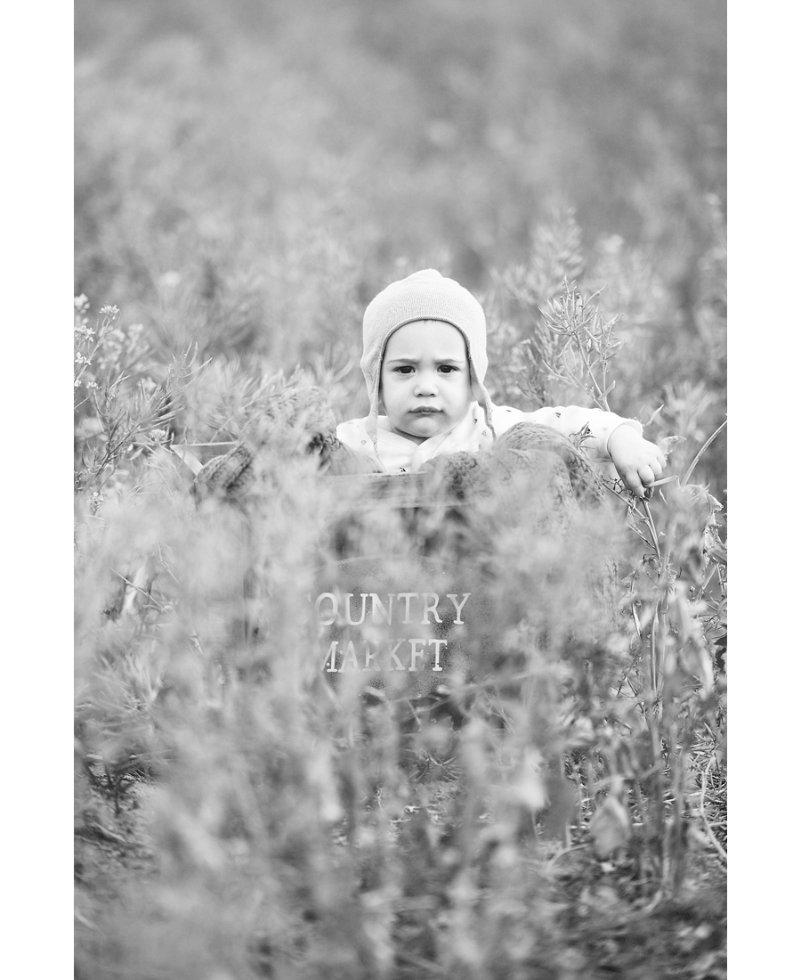 DSC_3533-Edit-Edit DSC_3533-Edit-Edit
